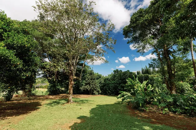 $499,000 | 6546 D Kuamoo Road, Unit 4, Kapaa, HI 96746