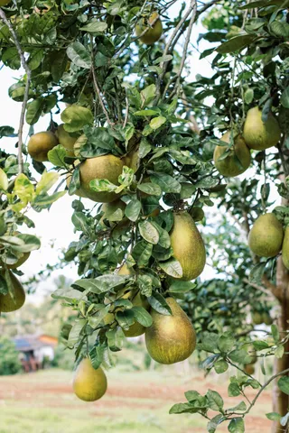 $499,000 | 6546 D Kuamoo Road, Unit 4, Kapaa, HI 96746