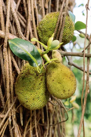 $499,000 | 6546 D Kuamoo Road, Unit 4, Kapaa, HI 96746