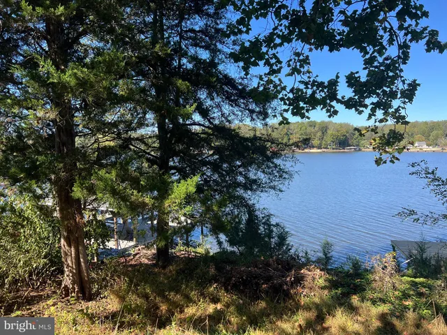 a view of a tree in a garden