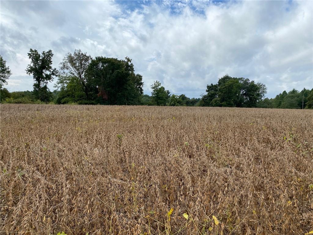 4.36 Freeman Road Spencer, IN 47460 - Photo 1 of 3