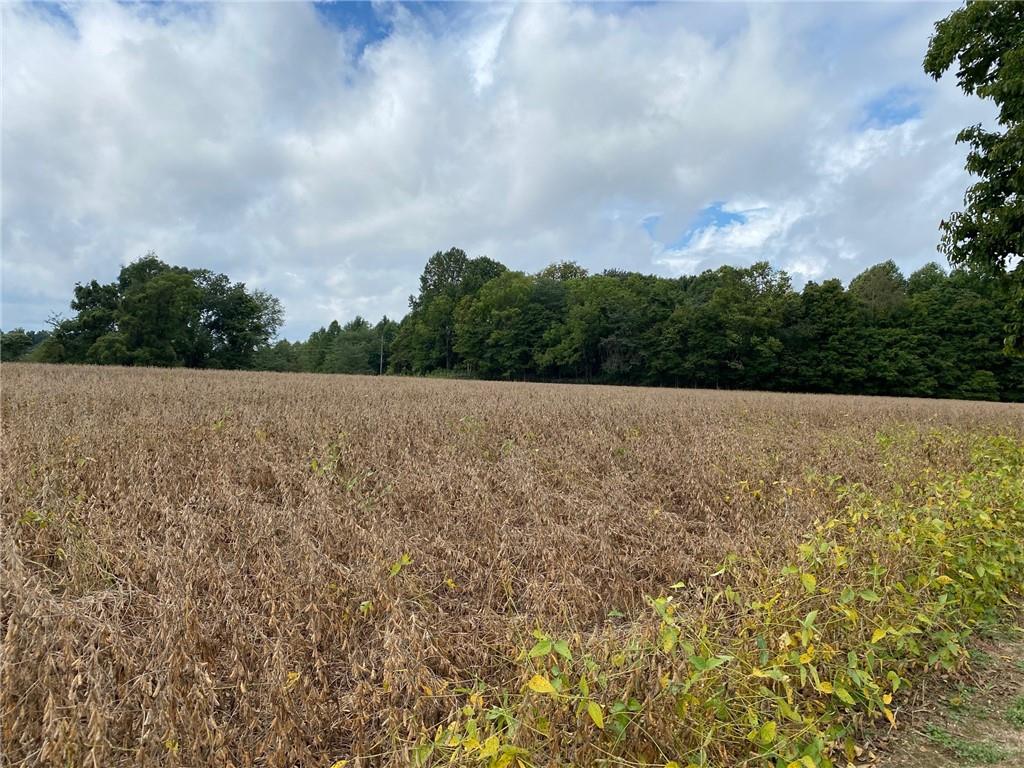 4.36 Freeman Road Spencer, IN 47460 - Photo 2 of 3