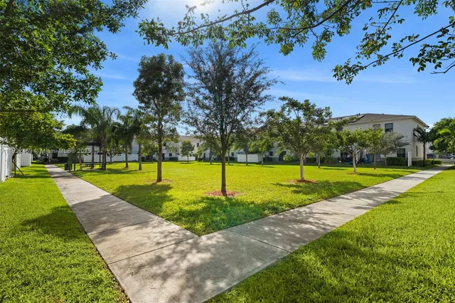 a view of a park with large trees