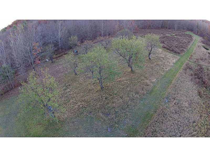 368 Farrand Hill Road Canton, ME 04221 - Photo 15 of 26 Land/Lot.