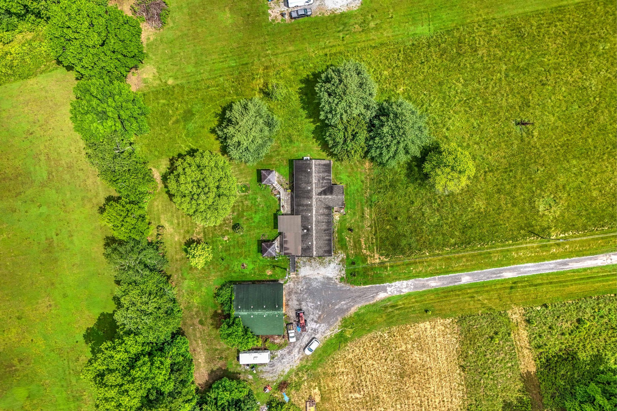 6842 Williams Road Cross Plains, TN 37049 - Photo 9 of 56 a view of a garden