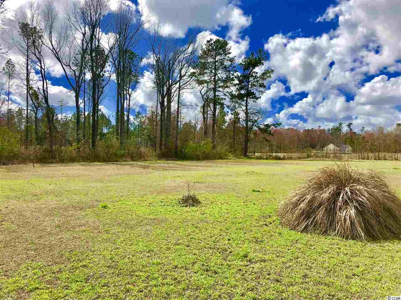3311 State Rd S-26-777 Loris, SC 29569 - Photo 22 of 24 Gallery Image 22
