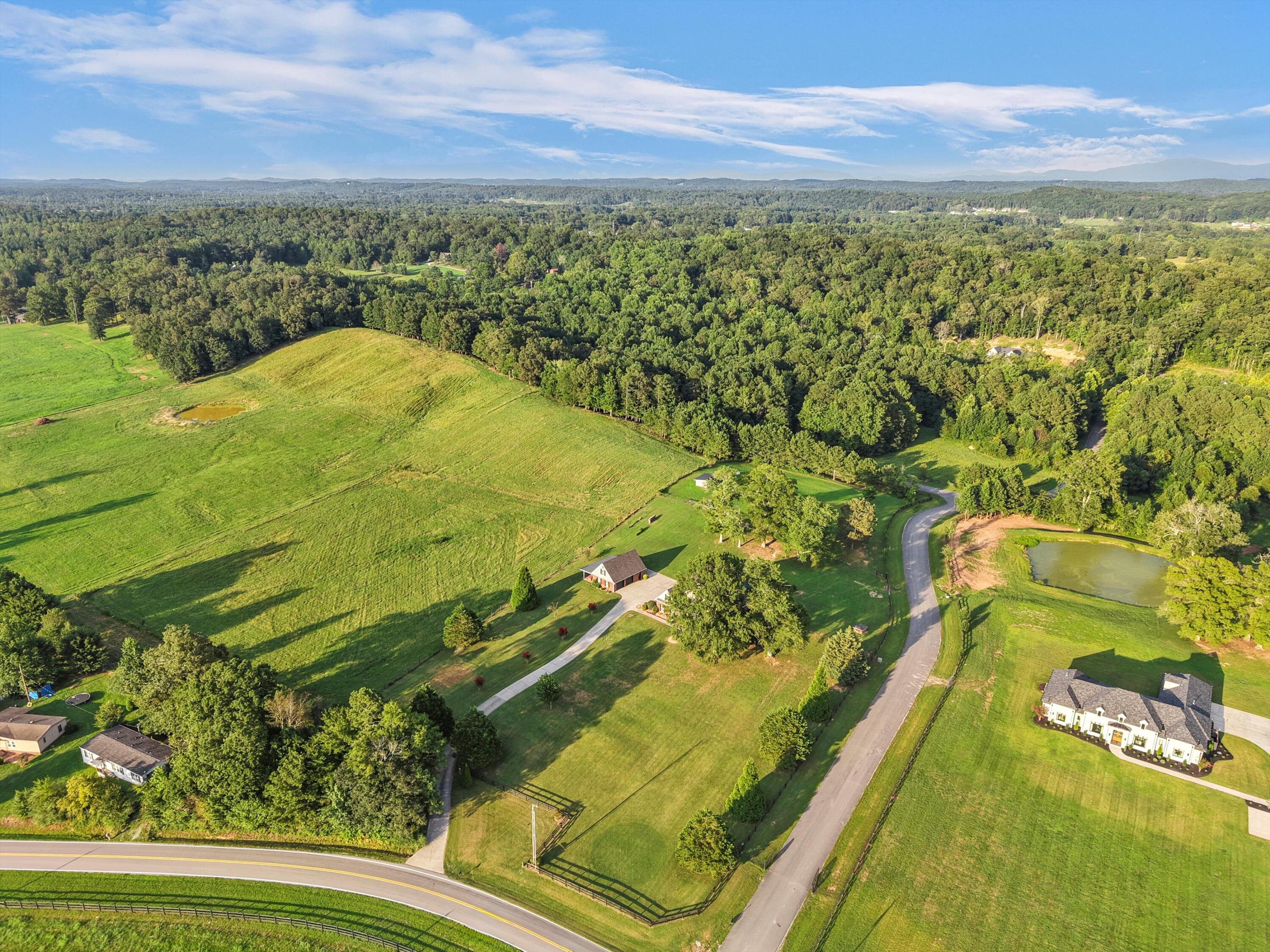 6642 Salem Valley Road Ringgold, GA 30736 - Photo 50 of 58 60-DJI_20250807192347_0596_D