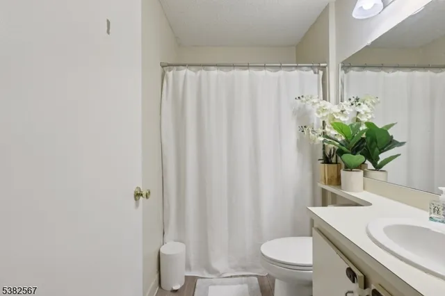 a bathroom with a sink toilet and mirror