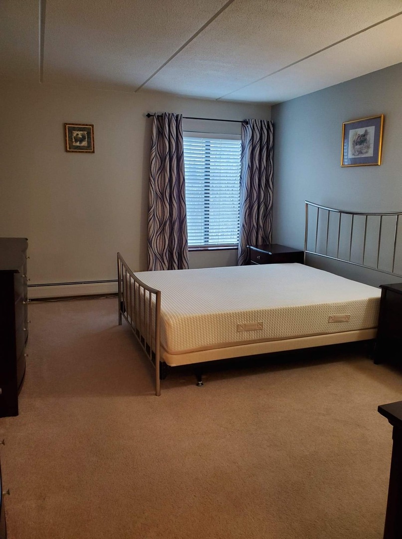 300 West Fullerton Avenue, Unit 201 Addison, IL 60101 - Photo 13 of 24