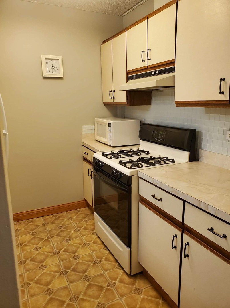300 West Fullerton Avenue, Unit 201 Addison, IL 60101 - Photo 9 of 24