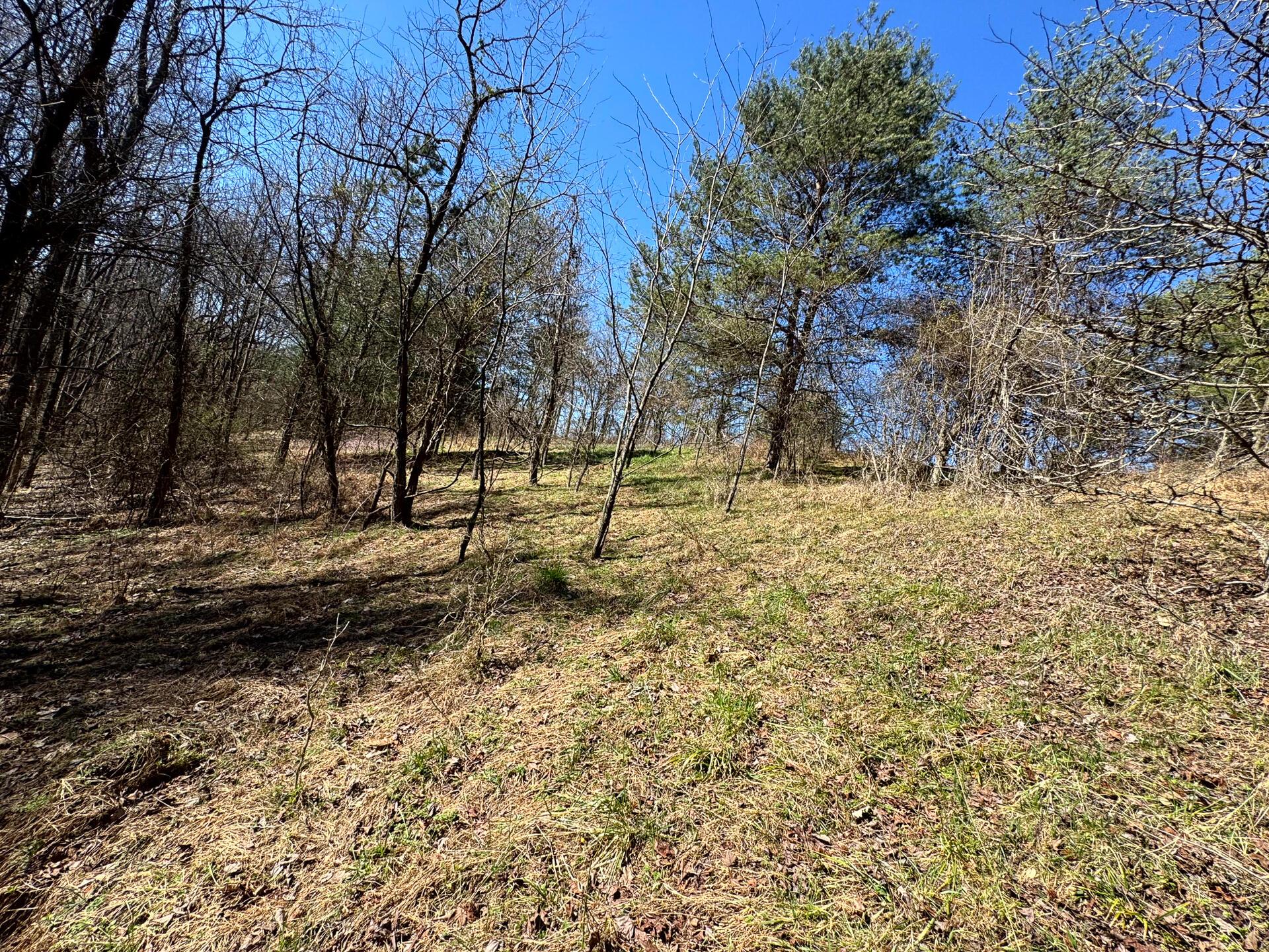 1031 Poplar Ridge Road, Unit PONDS POPLAR RIDGE TRACT 16) Gallipolis, OH 45631 - Photo 15 of 19 CT-17