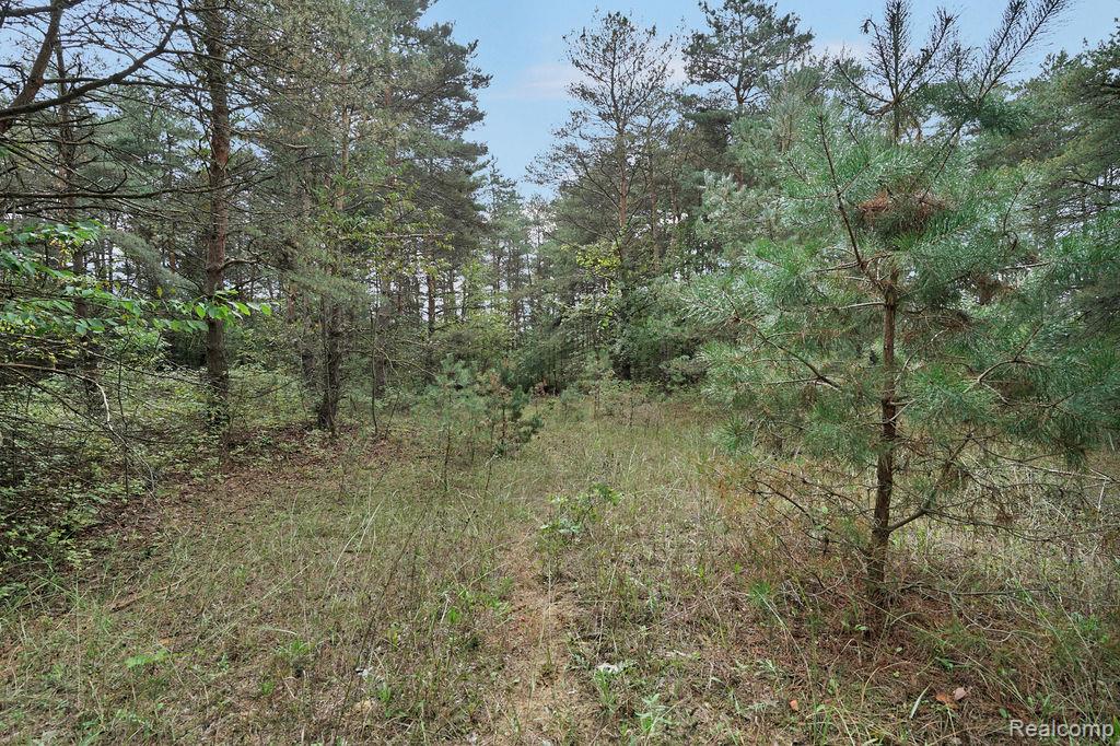 3921 Kile Road Vassar, MI 48768 - Photo 20 of 21 Gallery Image 20