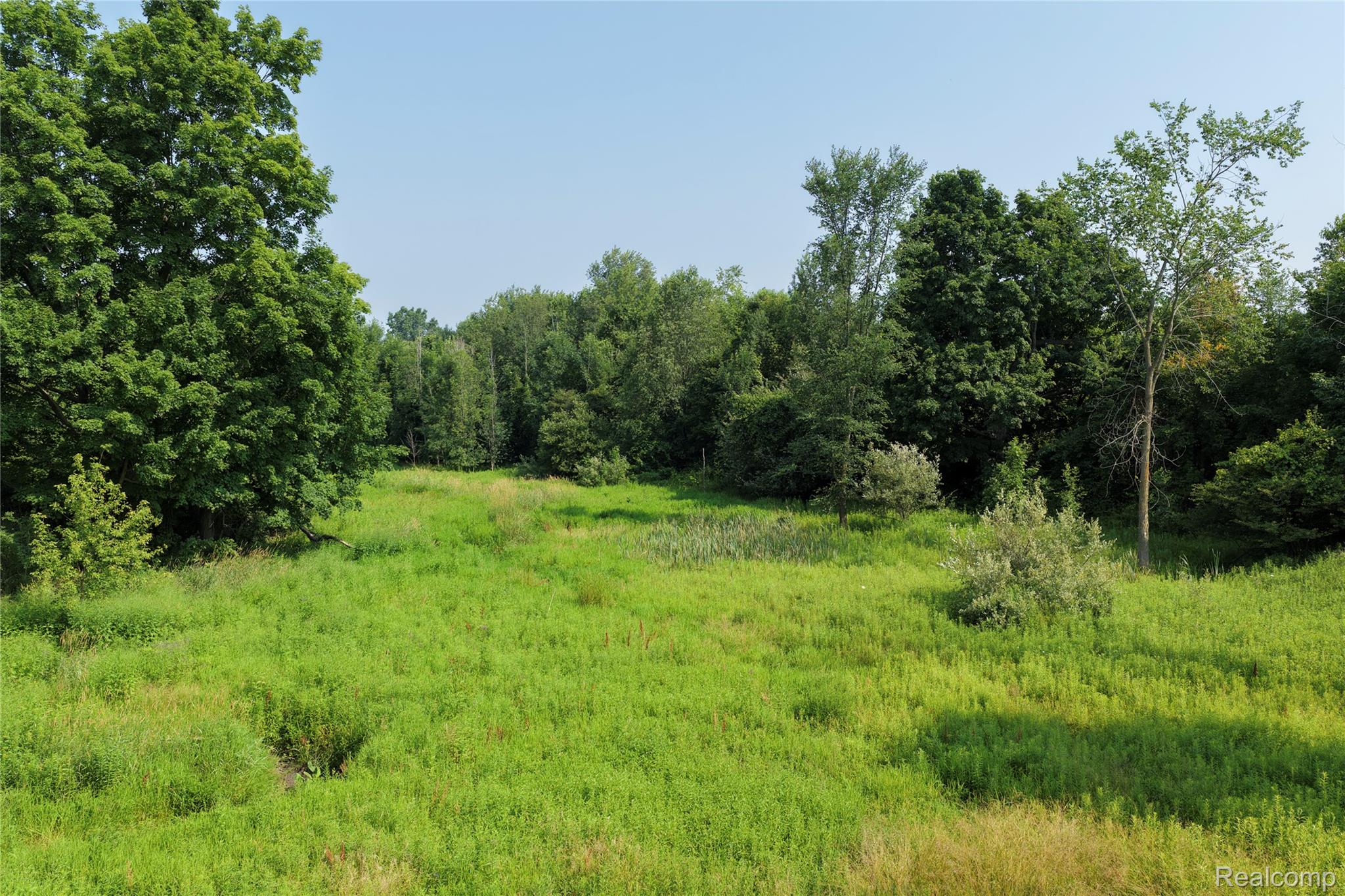 0 Custer Road Carsonville, MI 48419 - Photo 13 of 21 13.JPG