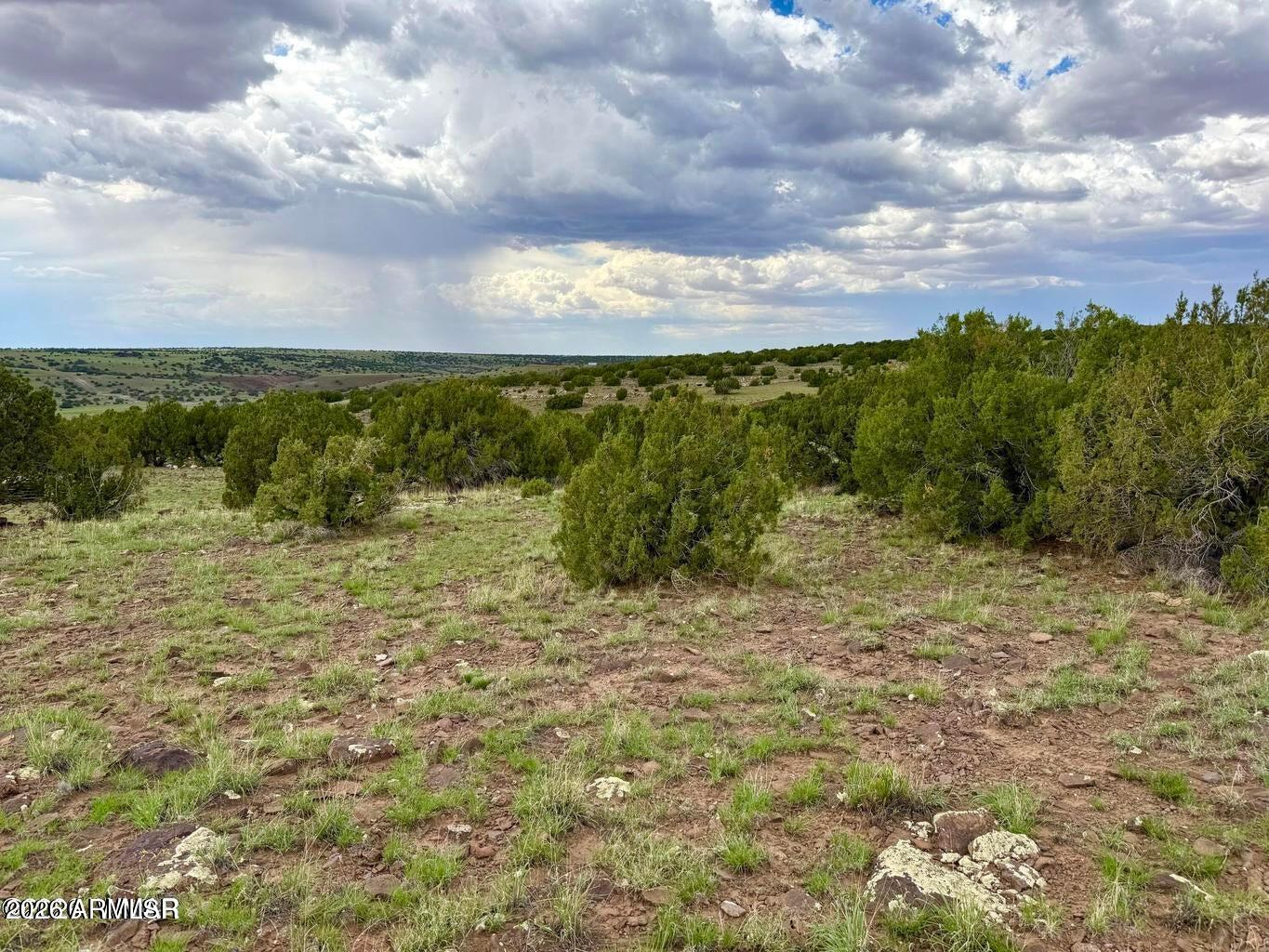 121-125 & 129 Co Road Concho, AZ 85924 - Photo 4 of 17 20260727072912563262000000-o