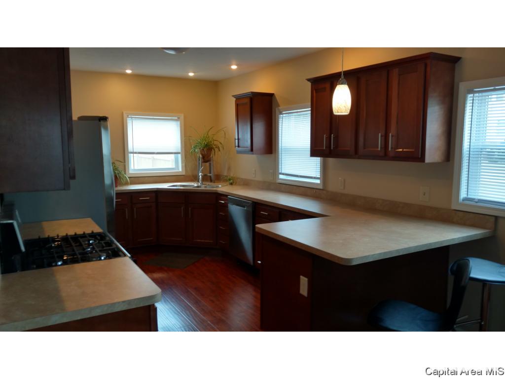 116 North Amos Avenue Springfield, IL 62702 - Photo 5 of 13