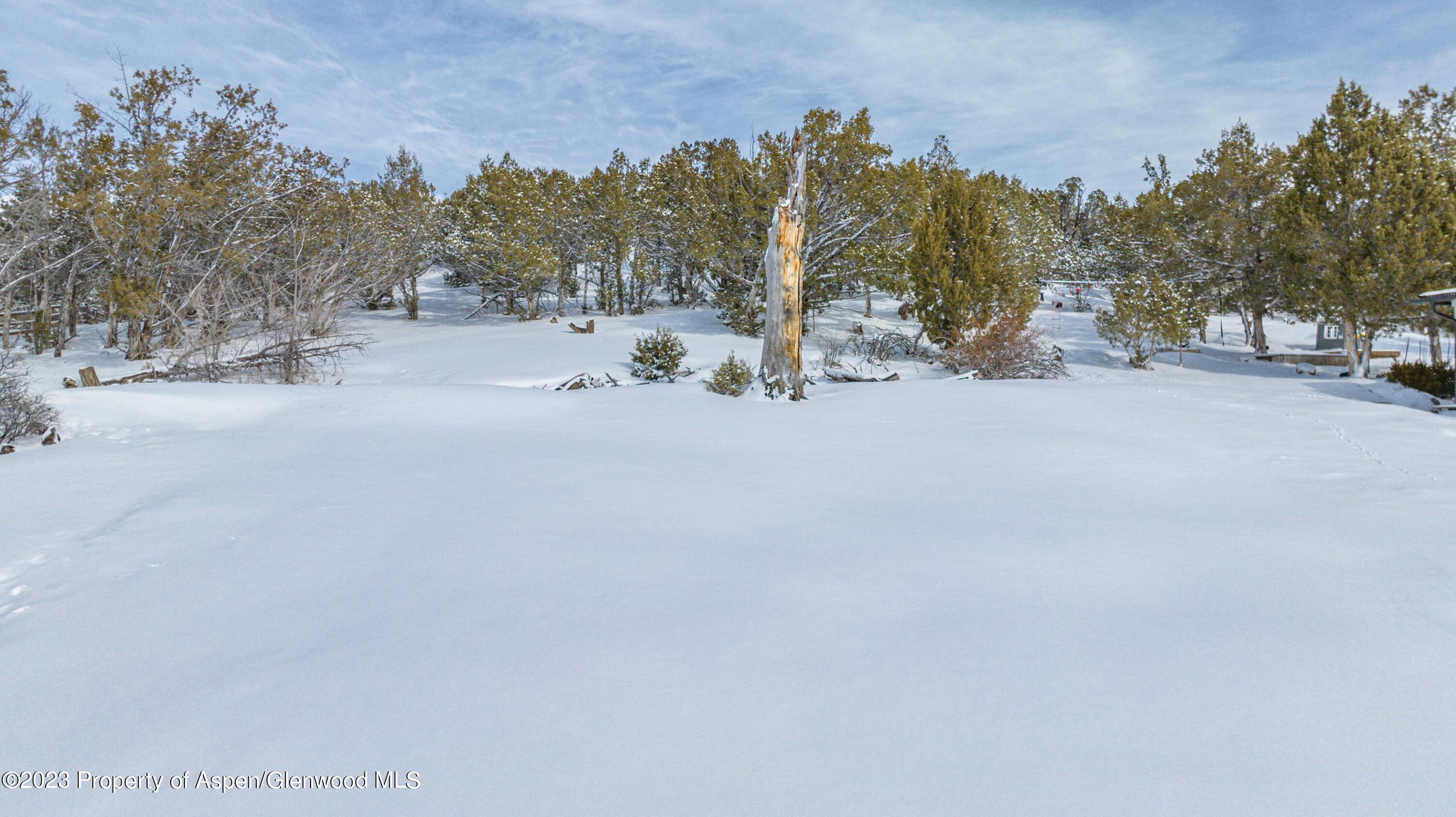 374 Faas Ranch Road New Castle, CO 81647 - Photo 3 of 13 3 (1)