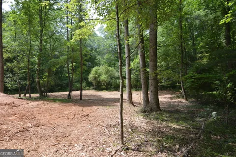 $1,525,000 | 1 Murphy Highway, Mineral Bluff, GA 30559