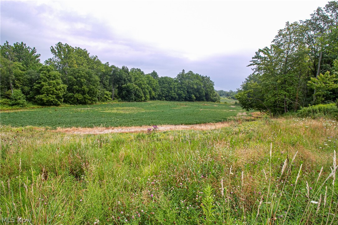 Beck Road Medina, OH 44256 - Photo 9 of 19 Gallery Image 9