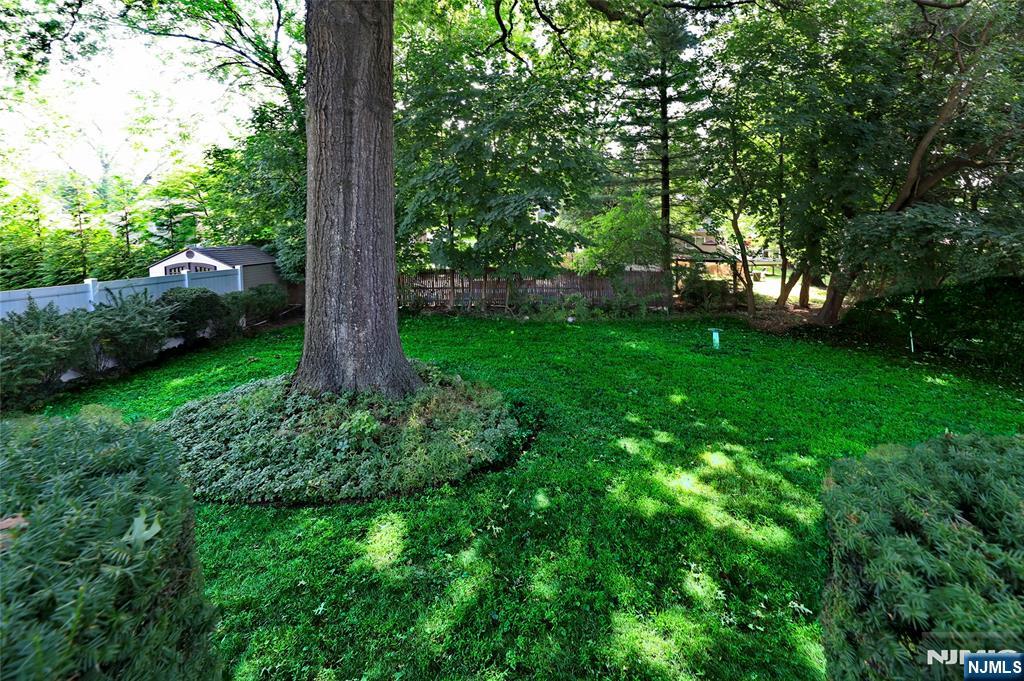 136 Elm Street Cresskill, NJ 07626 - Photo 18 of 24 a view of a garden with large trees