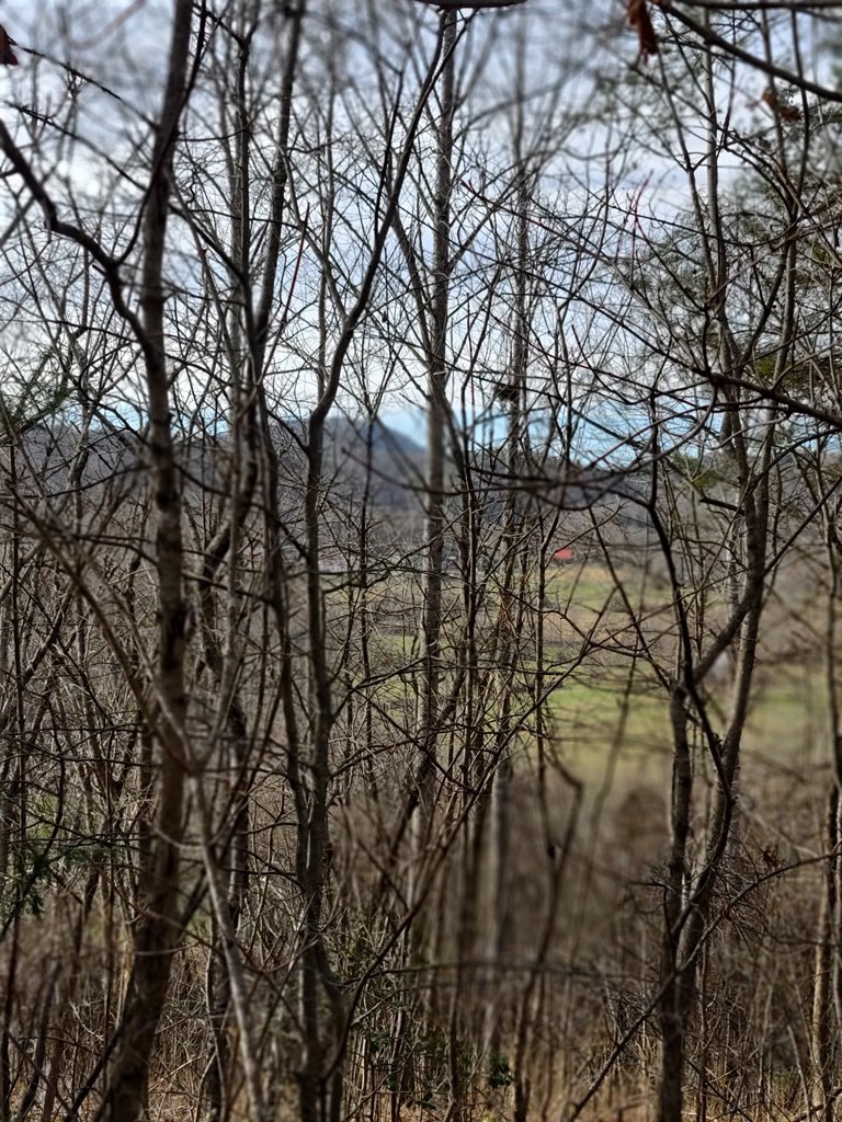 25 Spring View Drive Sevierville, TN 37862 - Photo 3 of 3