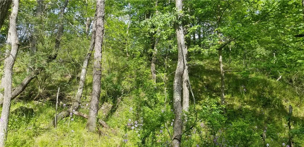 72 Locust Street Coalport, PA 16627 - Photo 7 of 7 a view of a lush green forest