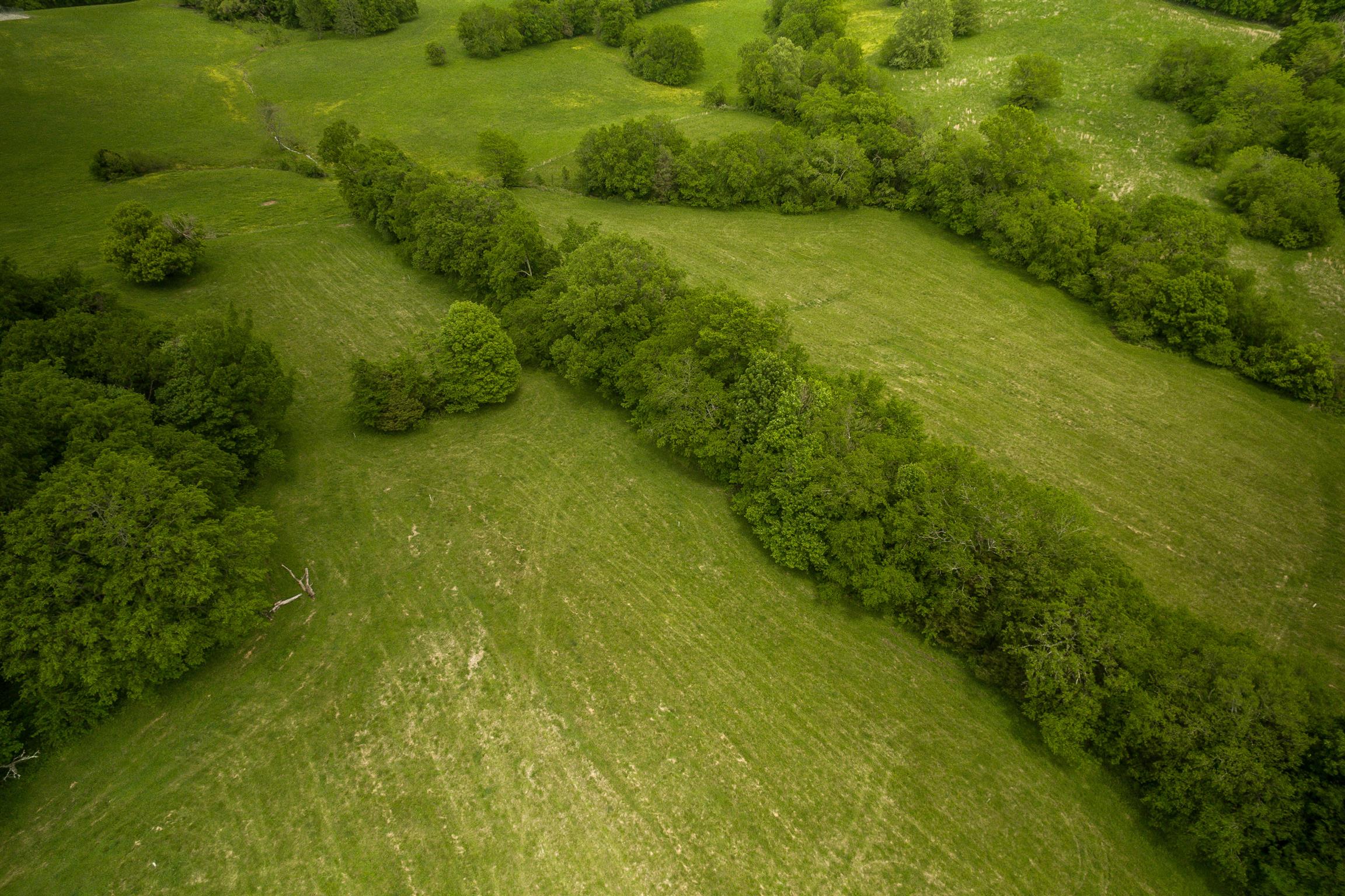 900 York Road Mount Juliet, TN 37122 - Photo 5 of 17 Backs to Peaceful 20 Acre Moss Farm.