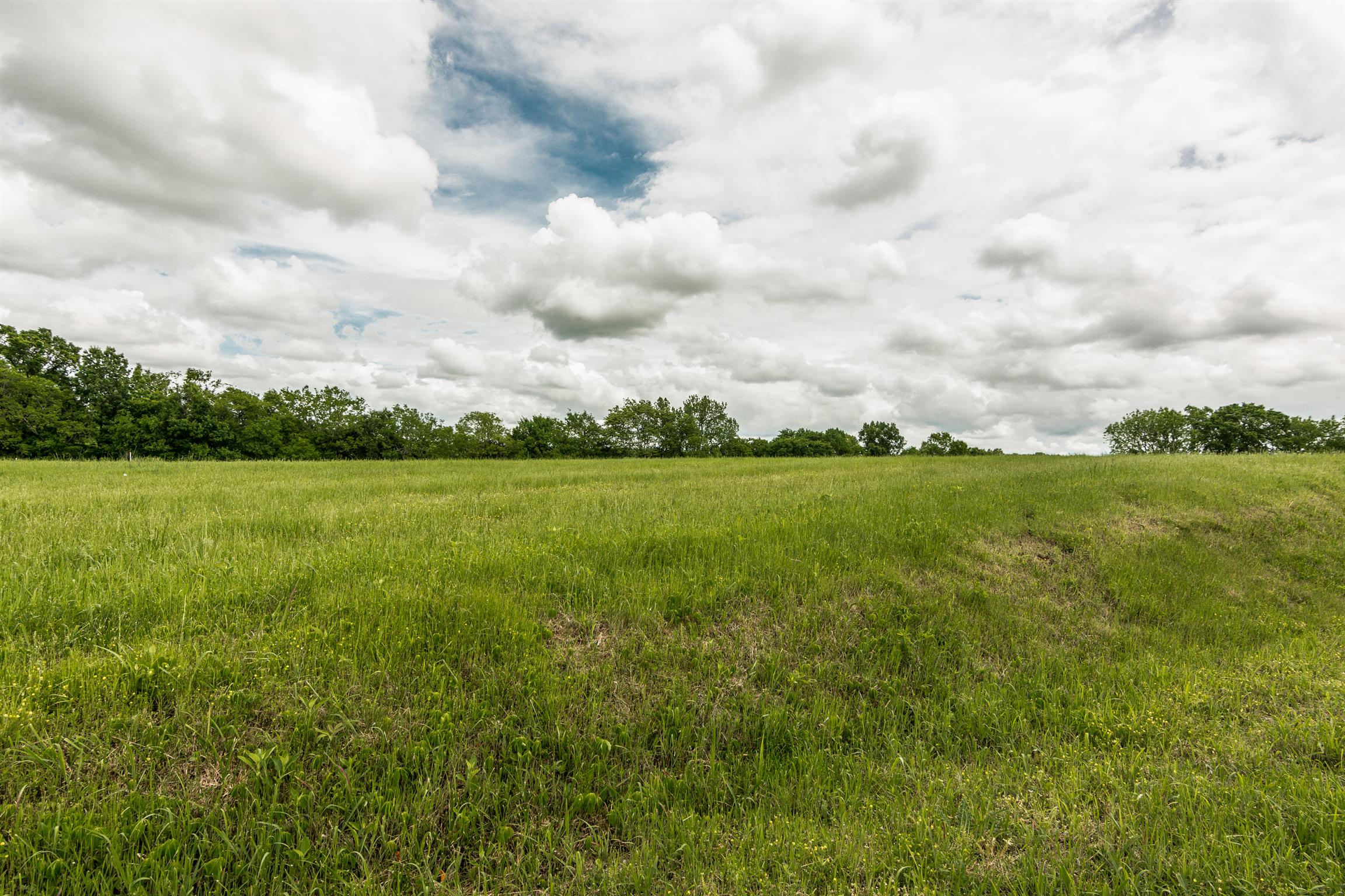 900 York Road Mount Juliet, TN 37122 - Photo 9 of 17 Ready for your Builder!