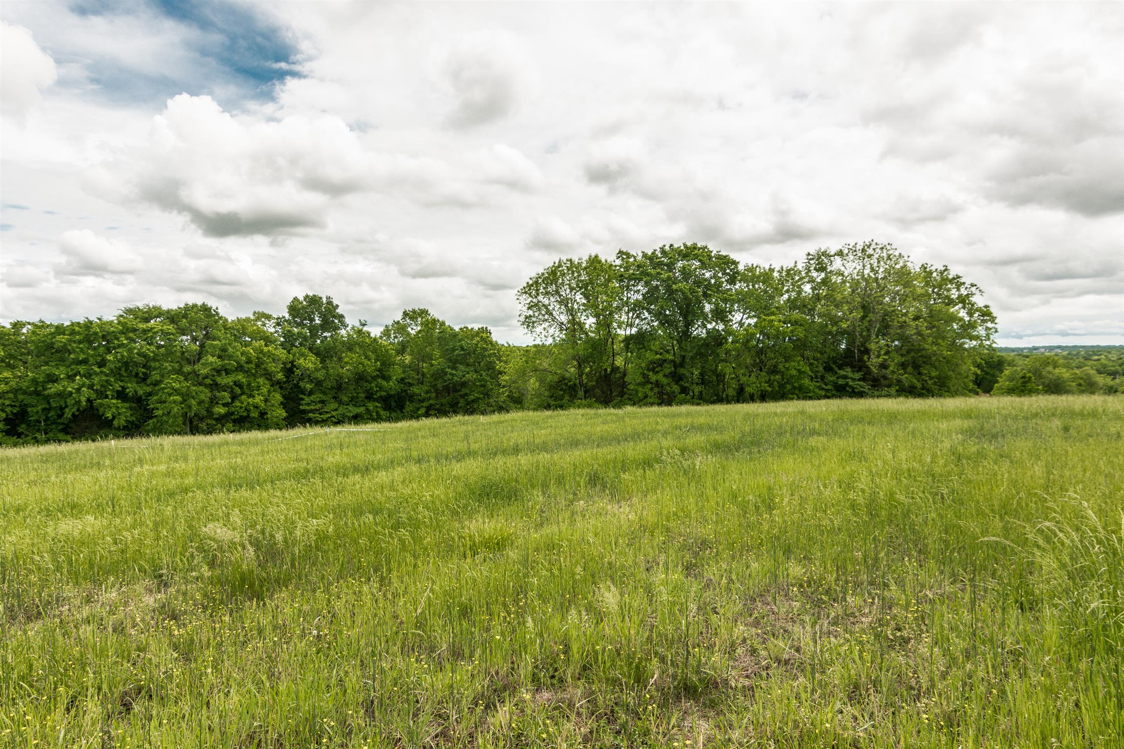 900 York Road Mount Juliet, TN 37122 - Photo 10 of 17 Amazing Views!