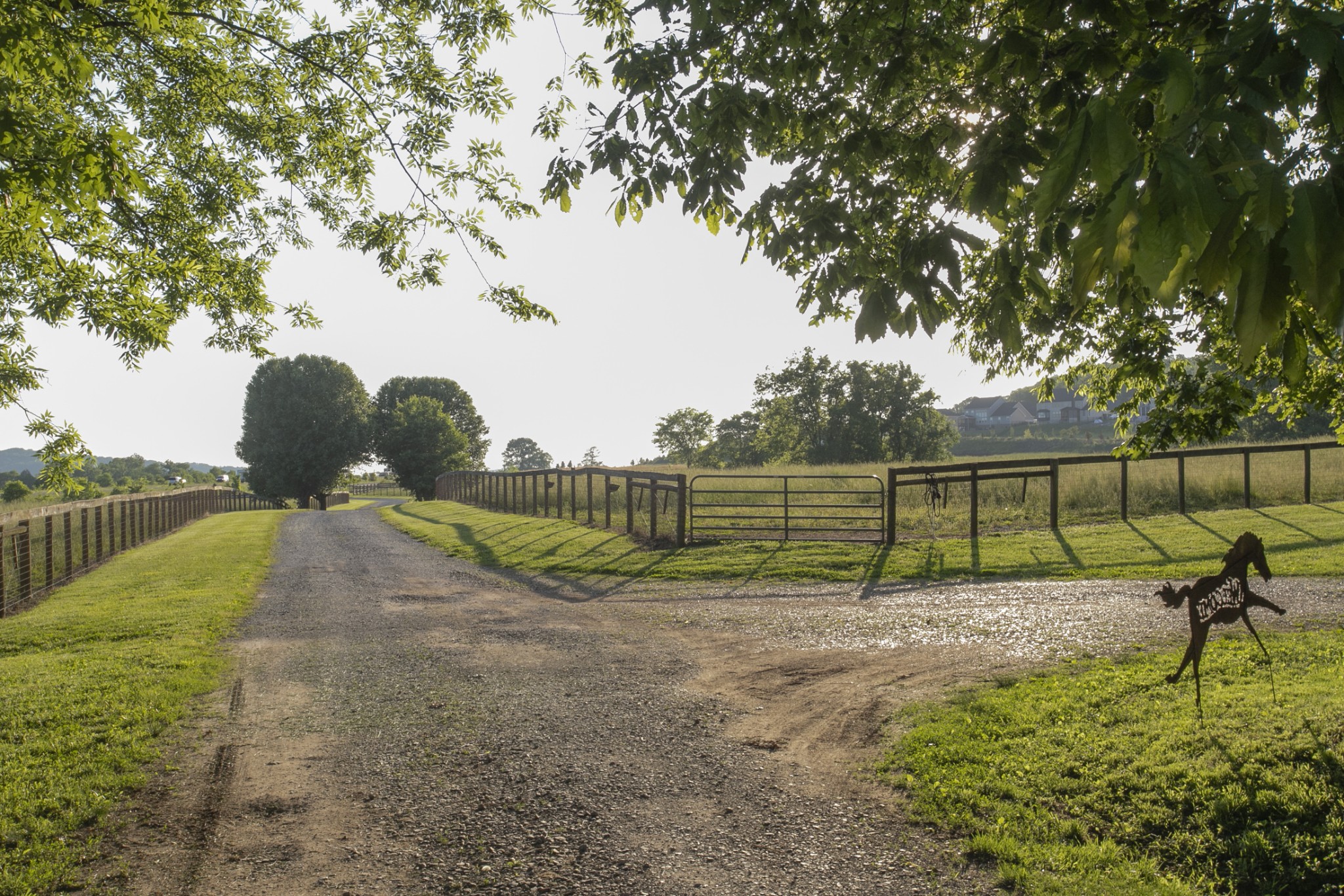 6330 Cox Road Arrington, TN 37014 - Photo 11 of 31 Gallery Image 11