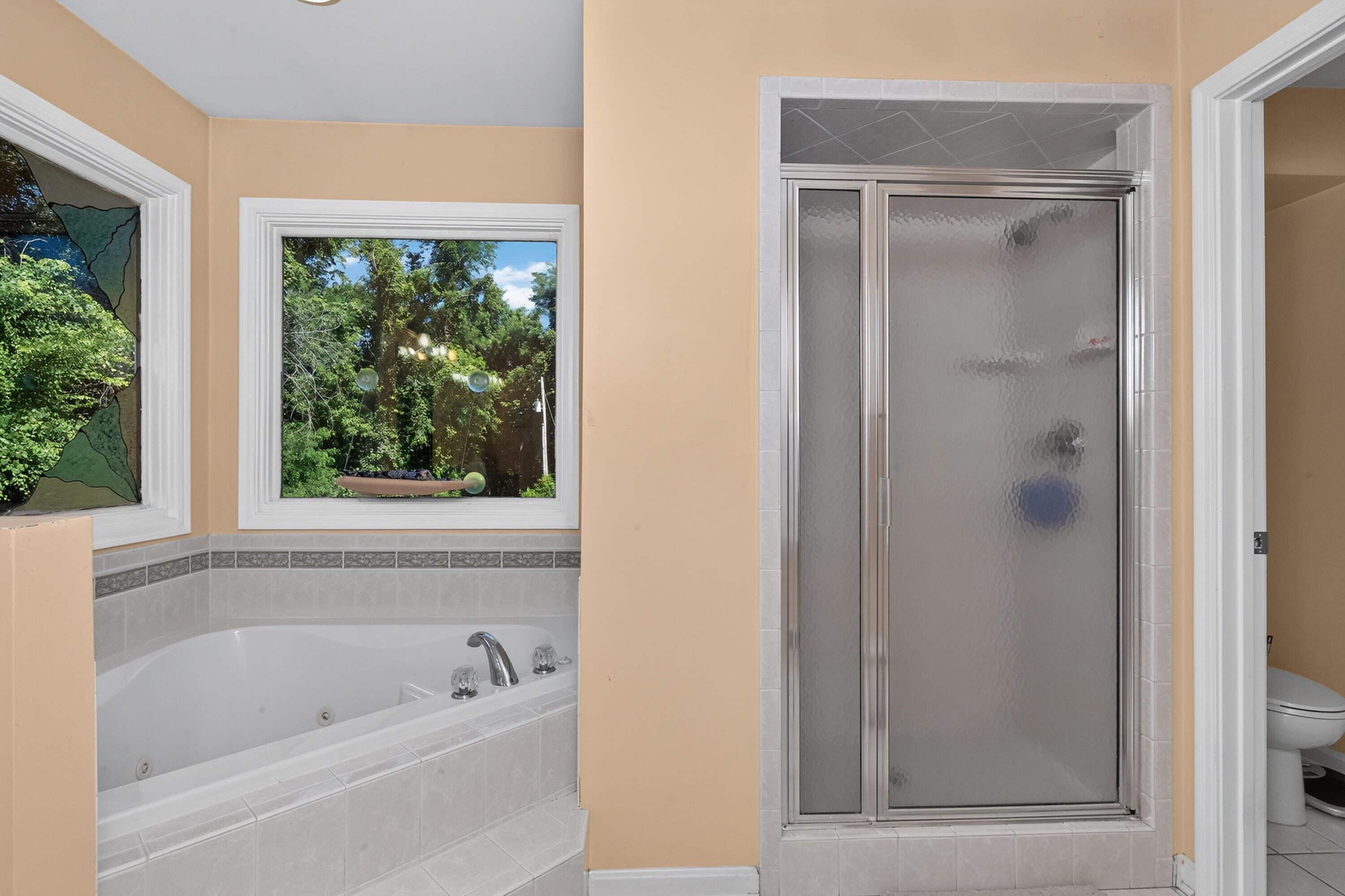 3942 Petersburg Road Burlington, KY 41005 - Photo 28 of 50 Jetted tub and walk-in shower. Lots of natural light!