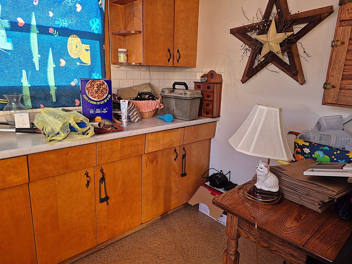 803 Madison Avenue Dixon, IL 61021 - Photo 5 of 20 a room with storage and utility