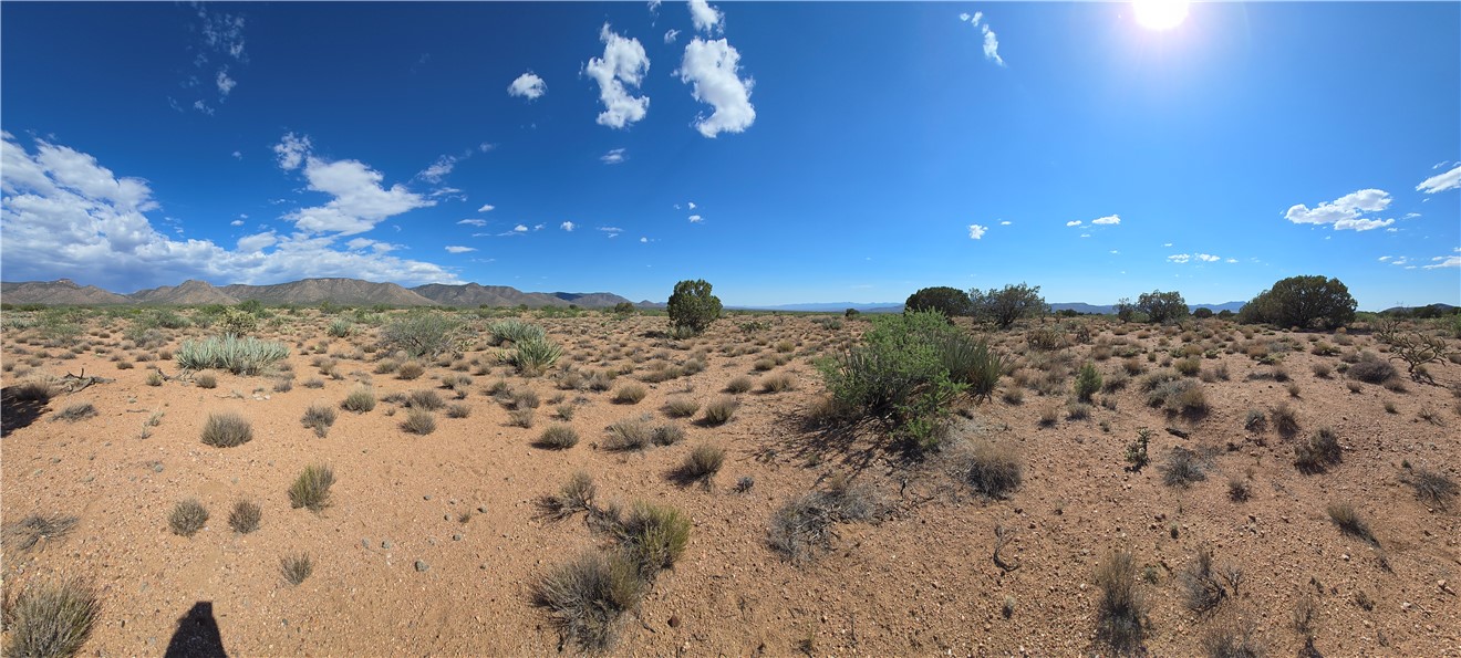 353-36-158 North Tyree Road Hackberry, AZ 86411 - Photo 11 of 19