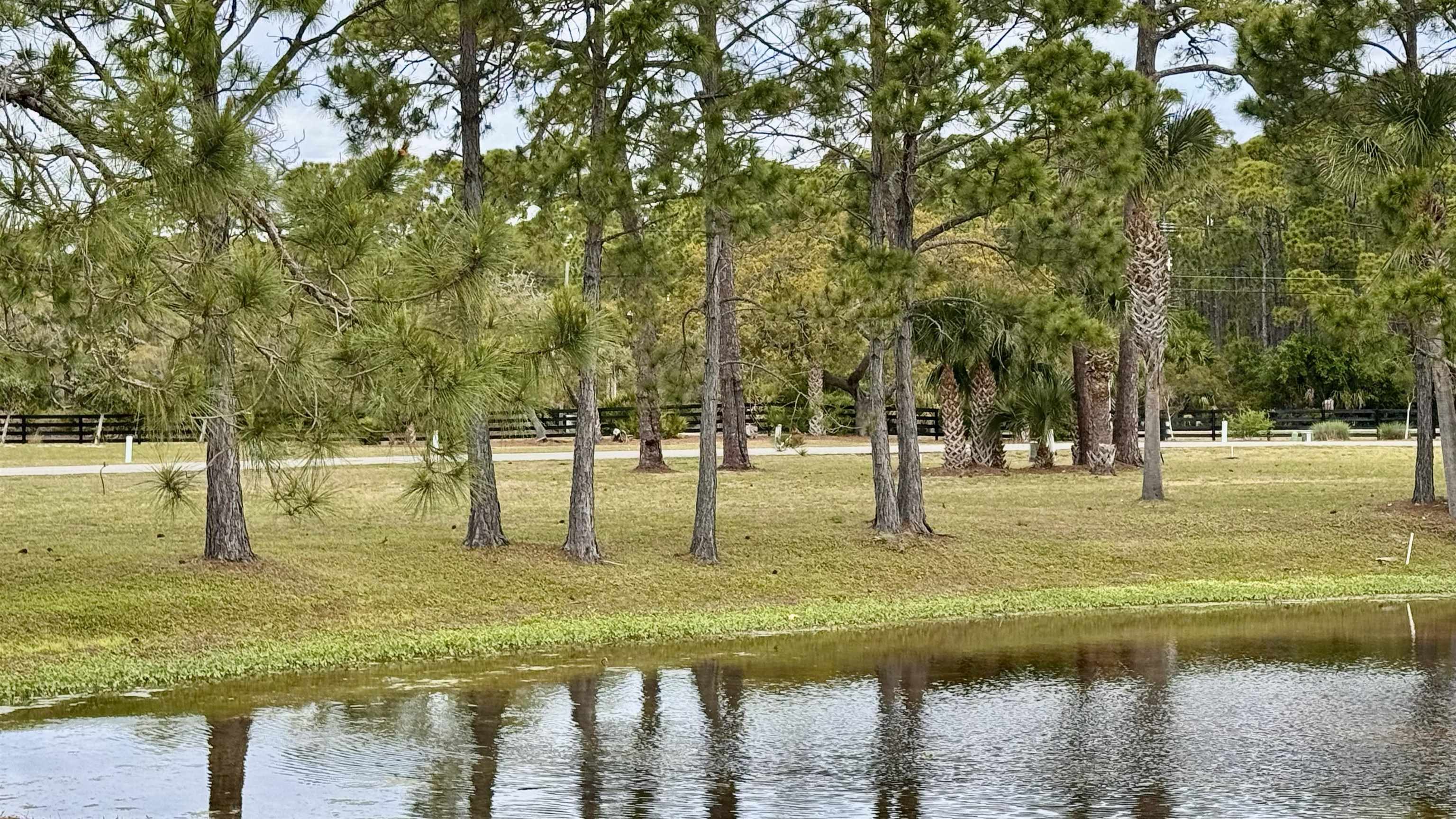 Endeavour Drive Panacea, FL 32346 - Photo 5 of 8