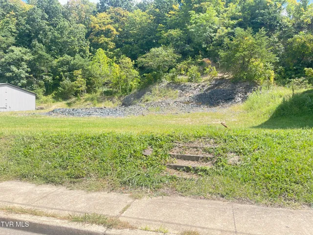 $89,900 | 106 Water Street, Johnson City, TN 37601