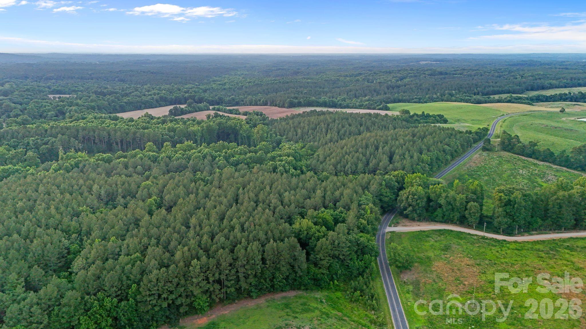0 Lucy Short Cut Road, Unit 3 Marshville, NC 28103 - Photo 45 of 47