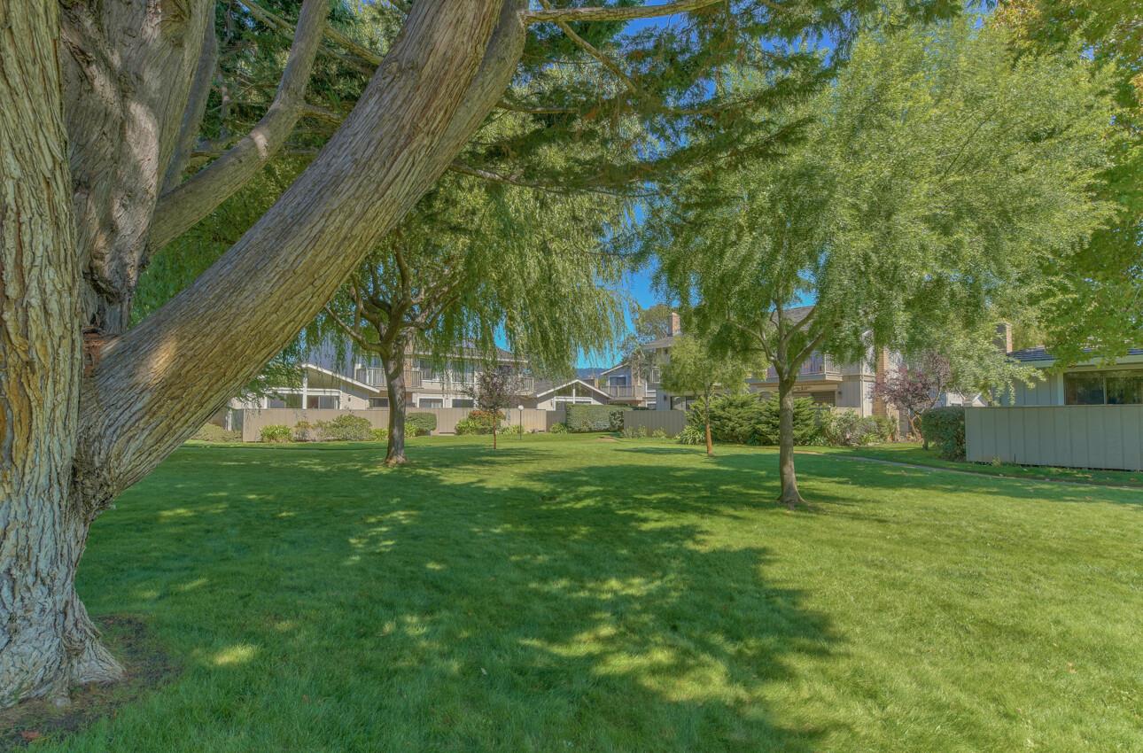3850 Rio Road, Unit 51 Carmel, CA 93923 - Photo 19 of 24 a view of a park with large trees