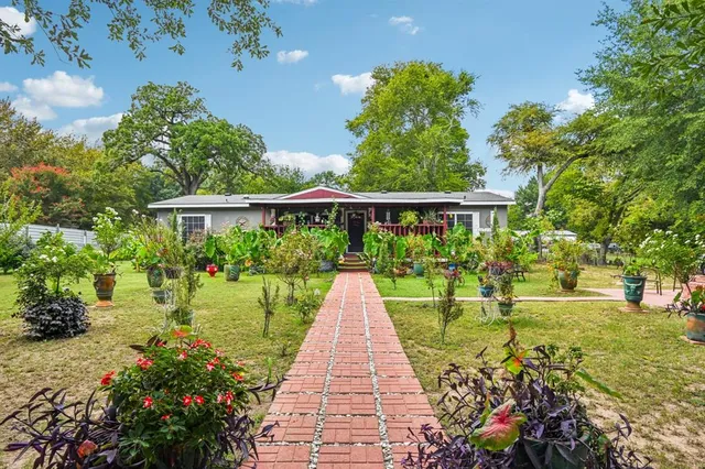 a view of park with plants and trees