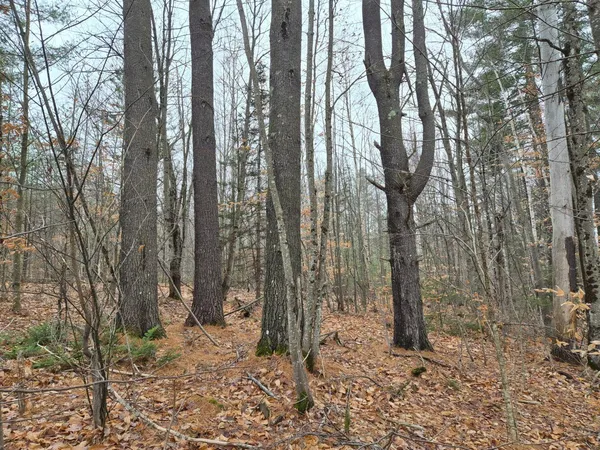 $86,000 | Mu23-l19b Holley Road, Farmington, ME 04938