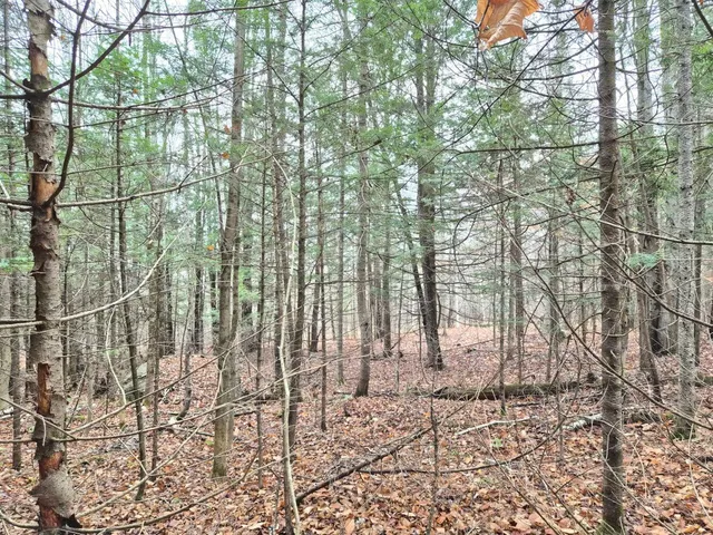 $86,000 | Mu23-l19b Holley Road, Farmington, ME 04938