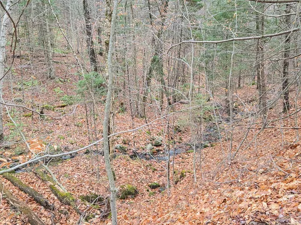 $86,000 | Mu23-l19b Holley Road, Farmington, ME 04938