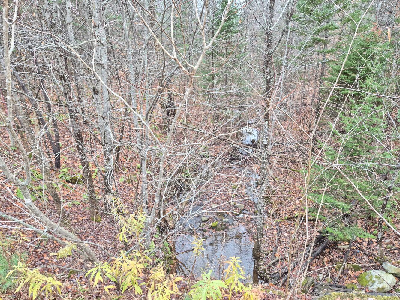 Mu23-l19b Holley Road Farmington, ME 04938 - Photo 5 of 6 1000029314_result