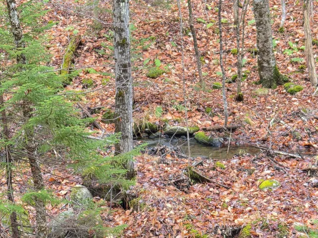 $86,000 | Mu23-l19b Holley Road, Farmington, ME 04938