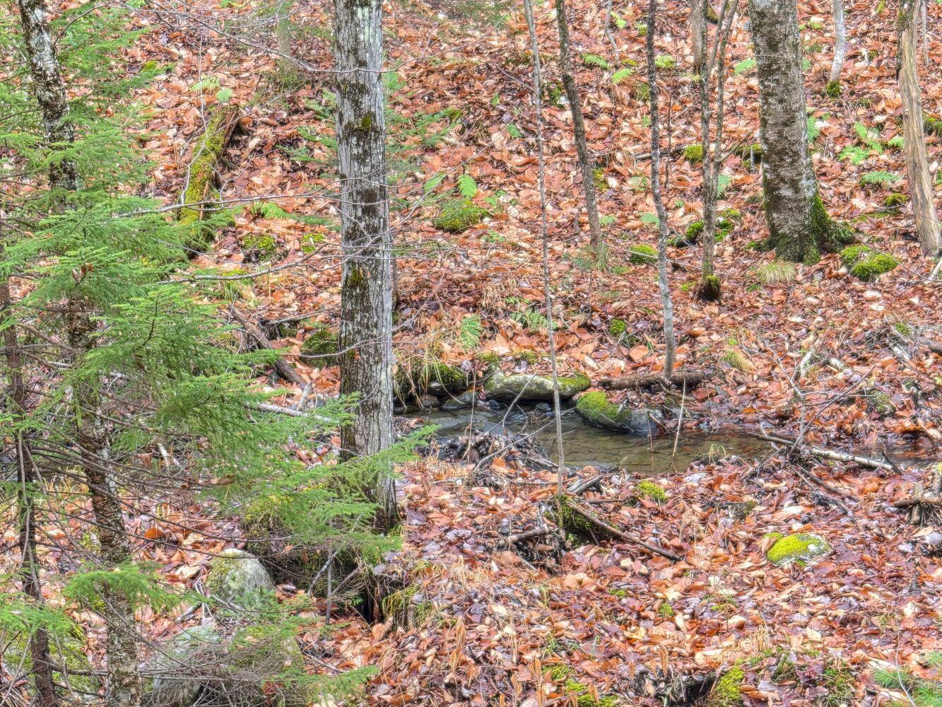 Mu23-l19b Holley Road Farmington, ME 04938 - Photo 6 of 6 1000029315_result