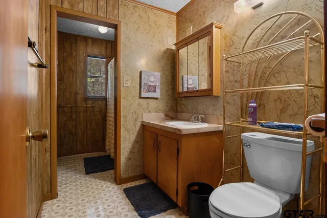 a bathroom with a sink a toilet a mirror and shower