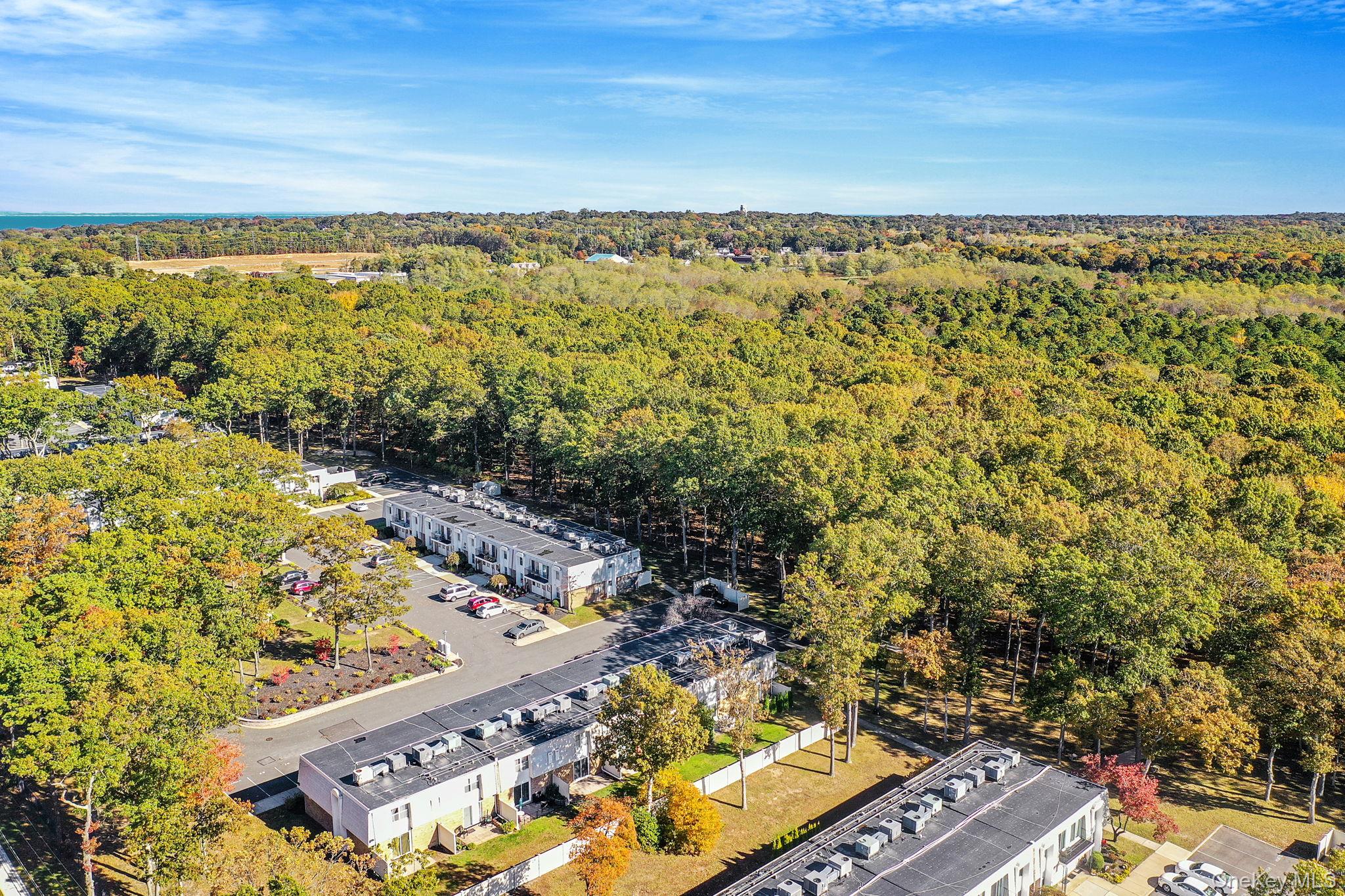 63 Rocky Point Yaphank Road, Unit 80 Rocky Point, NY 11778 - Photo 23 of 25 Drone / aerial view of a forest