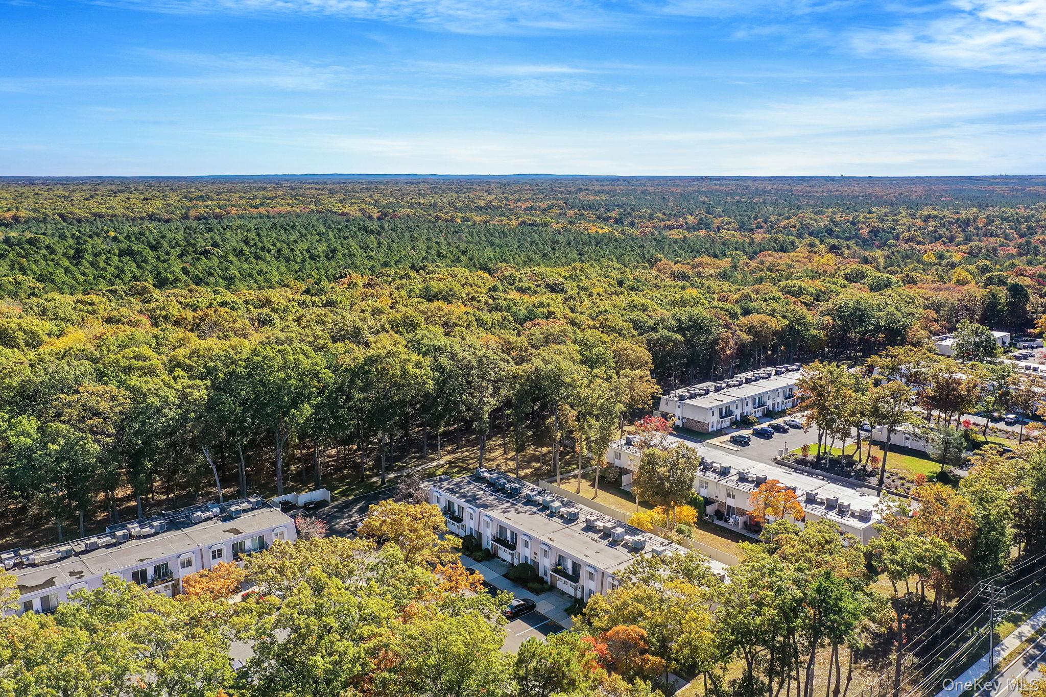 63 Rocky Point Yaphank Road, Unit 80 Rocky Point, NY 11778 - Photo 24 of 25 Aerial view of a forest
