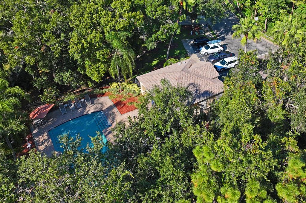 8412 Sandy Beach Street Tampa, FL 33634 - Photo 60 of 67