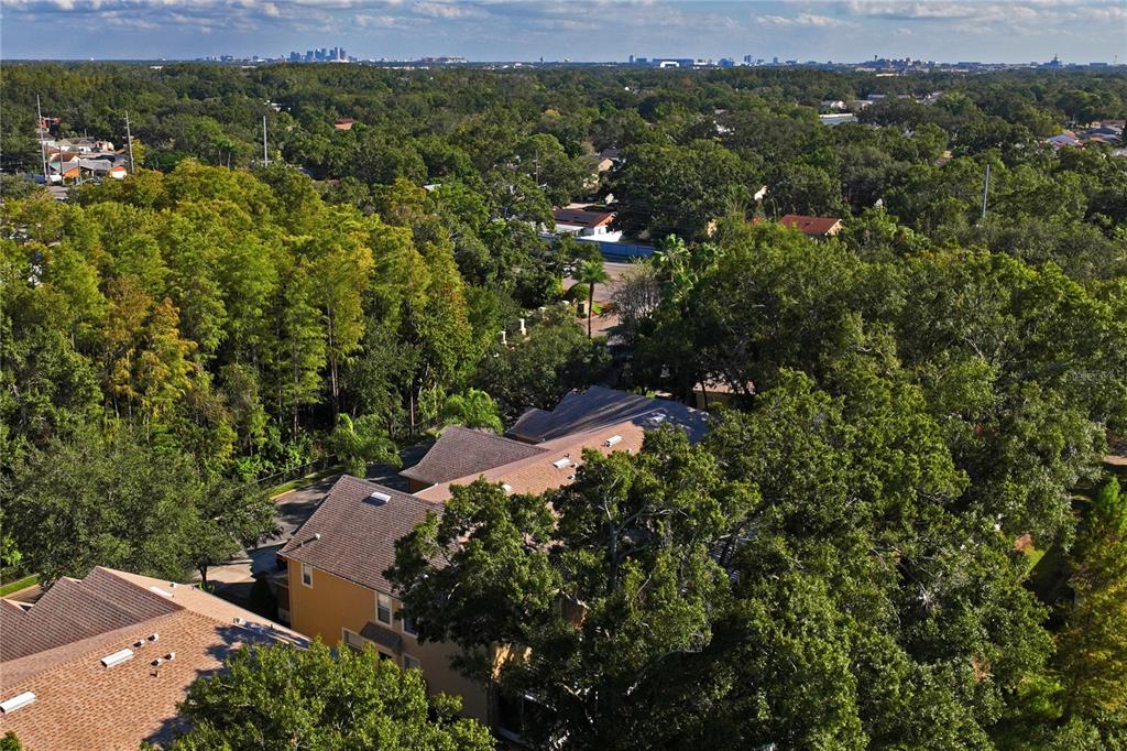 8412 Sandy Beach Street Tampa, FL 33634 - Photo 67 of 67