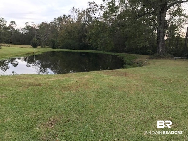 3170 Sowell Road Brewton, AL 36426 - Photo 24 of 27 Pond