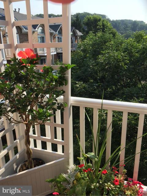 3084 South Glebe Road Arlington, VA 22206 - Photo 1 of 30 View